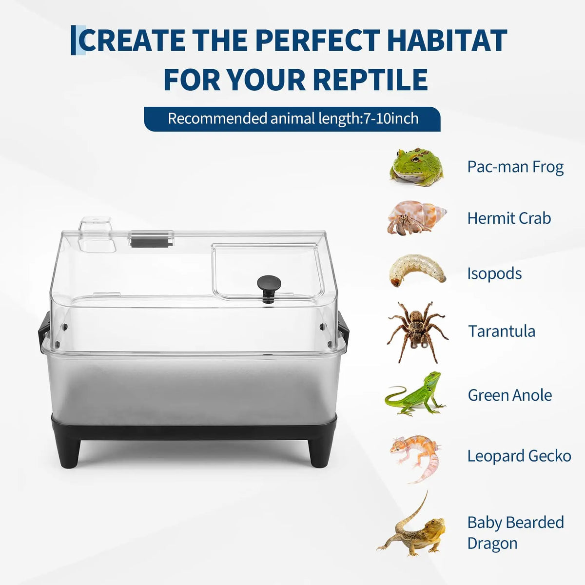 HiMISS Acrylic Reptile Terrarium Kit With Heating Pad
