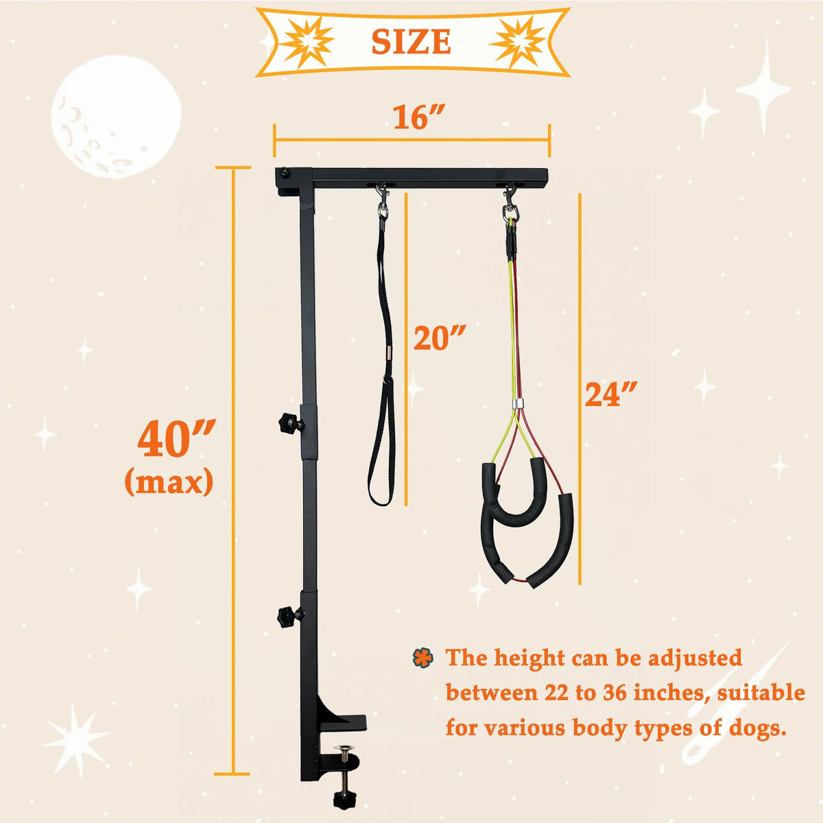 Height Adjustable Dog Grooming Arm With Dual Haunch Holders