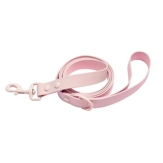 Water Resistant Standard Dog Leash For Everyday Outdoor Walks