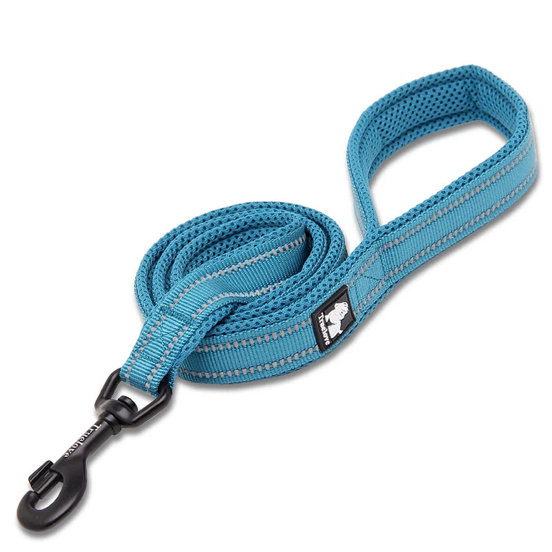 Winhyepet Premium Padded Nylon Dog Leash With Reflective Trim