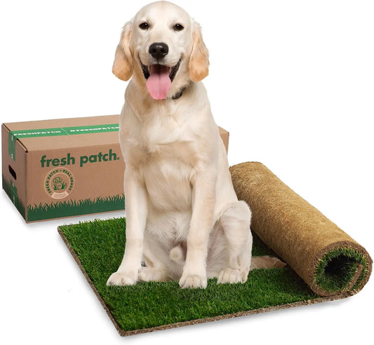 Disposable Real Grass Potty Training Mat For Dogs And Cats